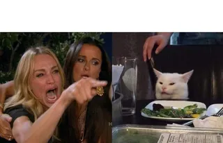 Woman Yelling at Cat blank meme template